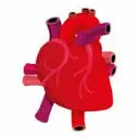 Bestcardiologistpune.com Favicon