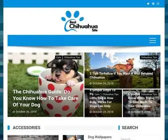 Bestchihuahuasite.com(All Things Chihuahua & Useful Tips To Buying Bully Sticks For Dogs) Screenshot