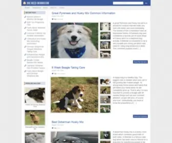 Bestdogbreedinfo.com(A great Pyrenees and husky mix pet) Screenshot