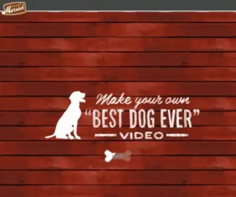 Bestdogevervideo.com(Best Dog Ever) Screenshot