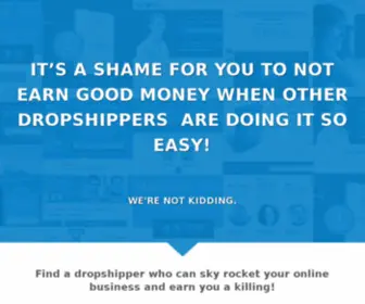 Bestdropshipper.net(Best dropshipper) Screenshot