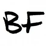 Bestfone.com Favicon