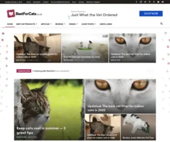 Bestforcats.co.uk(Best For Cats) Screenshot