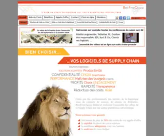 Bestfreechoice.com(Aide au choix dans la Supply chain) Screenshot