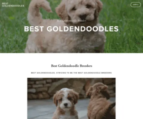 Bestgoldendoodles.com(Best Goldendoodles) Screenshot