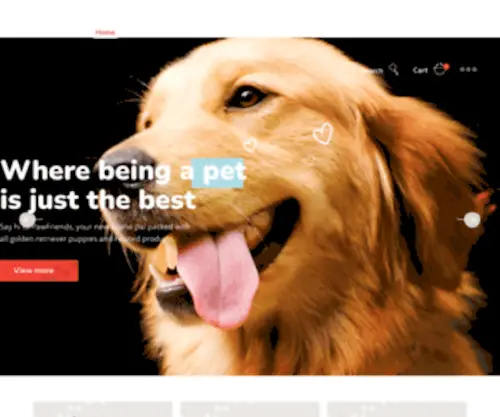 Bestgoldenretriever.com(Golden Retriever Puppies for Sale) Screenshot