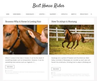 Besthorserider.com(Best Horse Rider) Screenshot