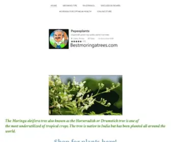 Bestmoringatrees.com(Moringa) Screenshot