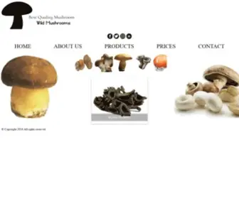 BestQualitymushroom.com(BEST QUALITY MUSHROOM) Screenshot