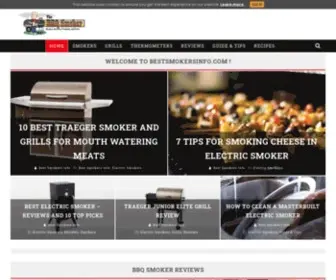 Bestsmokersinfo.com(Best Smokers Info) Screenshot