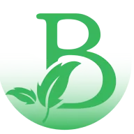 Bestsowftware.com Favicon