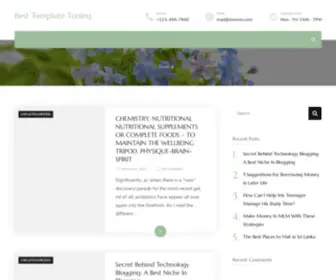Besttemplatetuning.com(Besttemplatetuning) Screenshot