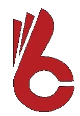 Bestversus.com Logo