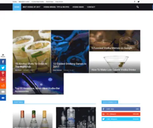 Bestvodka.net(Vodka Brand Reviews) Screenshot