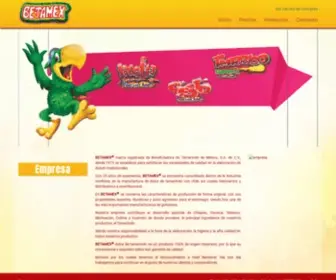 Betamex.com.mx(Betamex) Screenshot