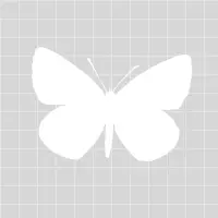 Bethcbryan.com Favicon