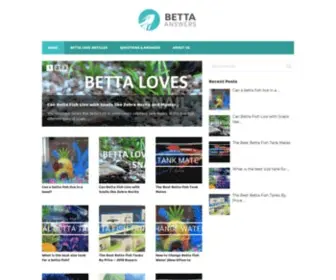 Bettaanswers.com(Betta Answers) Screenshot