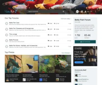 Bettafish.com(Betta Fish Forum) Screenshot