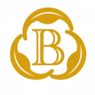 Bettalifeinternational.com Favicon