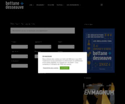 Bettanedesseauve.com(Recherche avancée) Screenshot