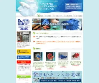 Bettashop.net(ショーベタ) Screenshot