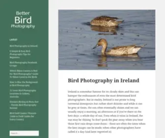 Betterbirdphotography.com(Better Bird Photography) Screenshot