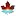 Betterdeltaport.ca Favicon