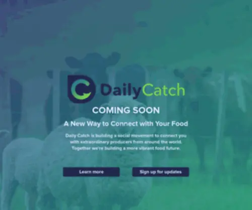 Betterfish.co(Create an Ecommerce Website and Sell Online) Screenshot