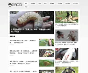 Bettermombaby.com(萌寵樂園) Screenshot