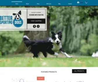 Bettersportingdogs.com(Dog Agility Equipment from Better Sporting Dogs) Screenshot