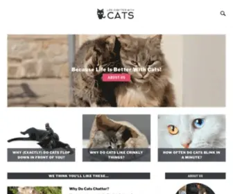 Betterwithcats.net(We built our site with one simple idea in mind) Screenshot