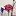 Bettyneubauer.com Favicon