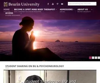 Beurinuniversity.org(Beurin University) Screenshot