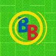 Bevinsbricks.com Favicon