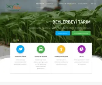 Beyfide.com(TARIM GIDA) Screenshot