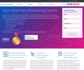 Beyondindigopets.com(Veterinary Marketing) Screenshot