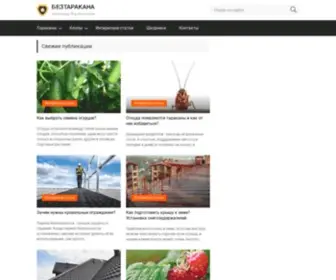 Beztarakana.ru(Beztarakana) Screenshot