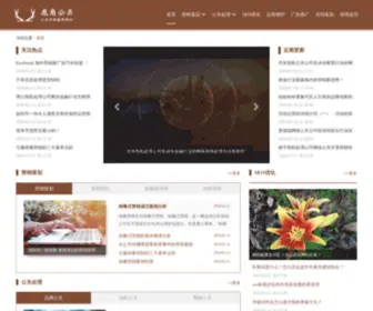 Bfirty.com(鹿角公关) Screenshot