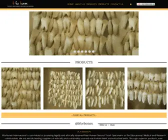 Bforbones.com(The World's Leading Suppliers of Real Human Tooth Specimens) Screenshot