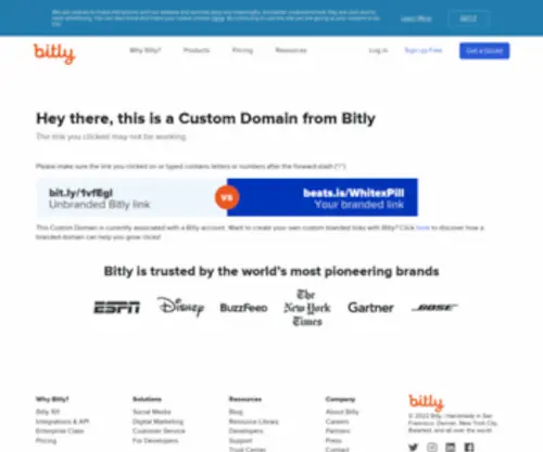 BGBR.in(Custom Domain by Bitly) Screenshot