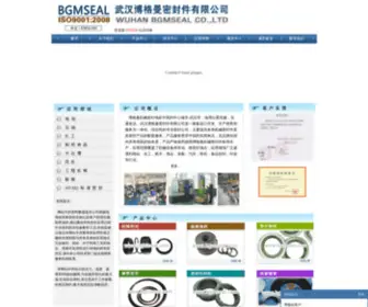 BGmseal.com(武汉博格曼密封件有限公司) Screenshot