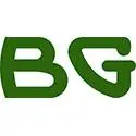 Bgservice.com Favicon