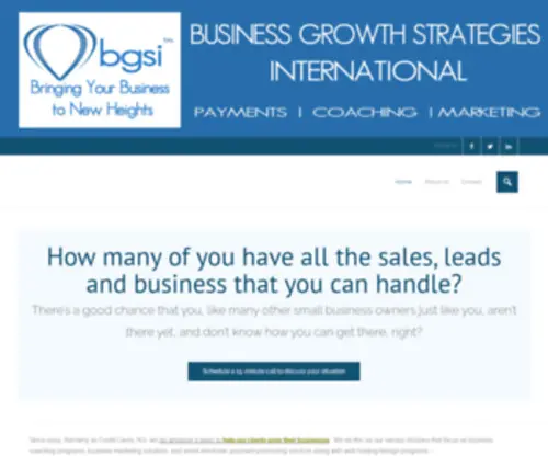 Bgsillc.com(Business Coaching) Screenshot