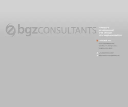 BGZ-Consultants.com(BGZ Consultants) Screenshot