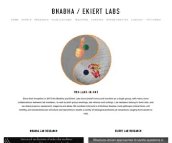 Bhabhaekiertlab.org(Ekiert Labs) Screenshot