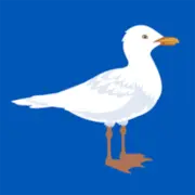 Bhaseagulls.com Logo
