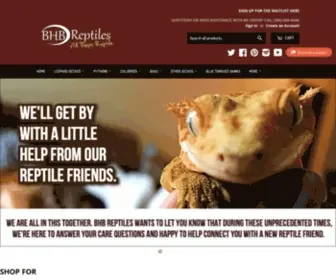 BHbreptiles.com(BHB Reptiles) Screenshot