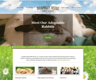 Bhrabbitrescue.org(Brambley Hedge Rabbit Rescue) Screenshot
