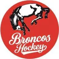 BHshockey.net Logo
