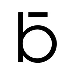 BI-Lim.com Favicon